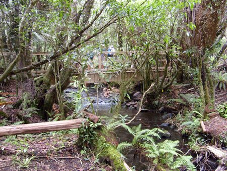 Bridge Across Stream