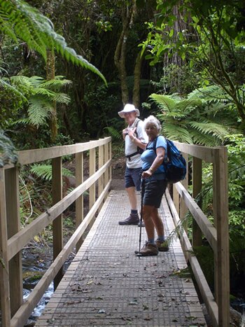 Bridge Taonui Section