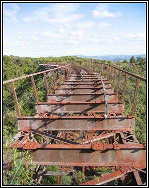 Curved Taonui Viaduct