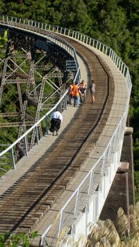 Hapuawhenua Viaduct Reopened