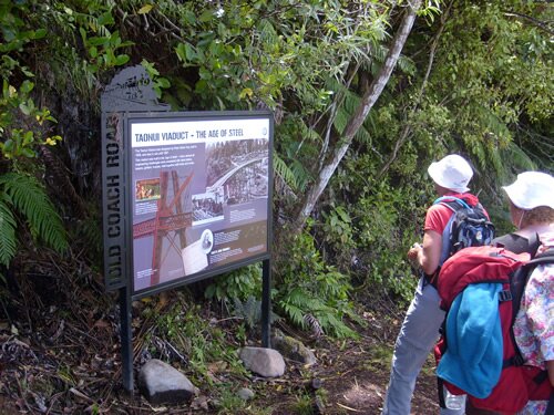 Taonui Section Information Panel