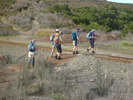 Taonui Section