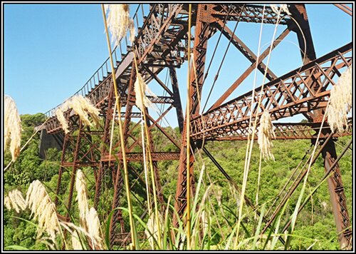 Taonui Viaduct Today