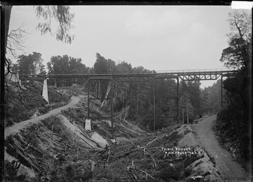 Under Taonui Viaduct